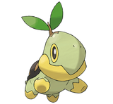 Turtwig