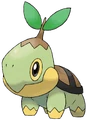 Turtwig
