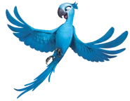 Jewel (playable character)