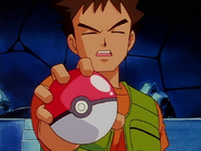 Brock's debut in Showdown in Pewter City