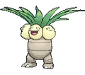 PKMNXY103