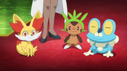 The first partner Pokémon of the Sixth Pokémon generation, as seen in the anime.