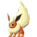 PKMNLGPE136