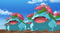 Venusaur anime