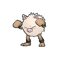 Primeape