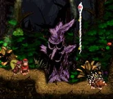 Diddy, Dixie and a Ghostly Rope.