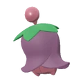 PKMNPLA421