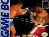 Heavyweight Championship Boxing