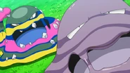 Muk and Alolan Muk in the anime