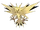 Zapdos
