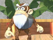 Cranky in the first season of the Donkey Kong Country TV show.