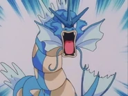 James's Gyarados
