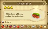 Grilled Beef