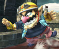 Wario1