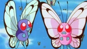 Ash's Butterfree and a Pink Butterfree