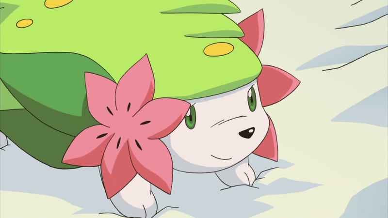 Shiny shaymin (sky form)  Pokemon art, Pokemon, Anime