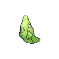 Metapod