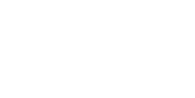 Nintendo Wiki