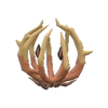 PKMNSV946