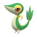 PKMNSV495