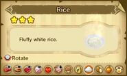 Rice.