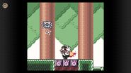 Wario Land 3