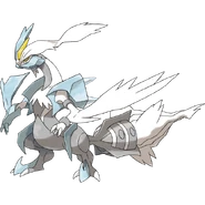 Kyurem Blanco