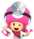 Dr. Toadette from Dr. Mario World