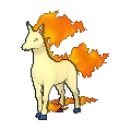 Rapidash