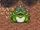 Frog King