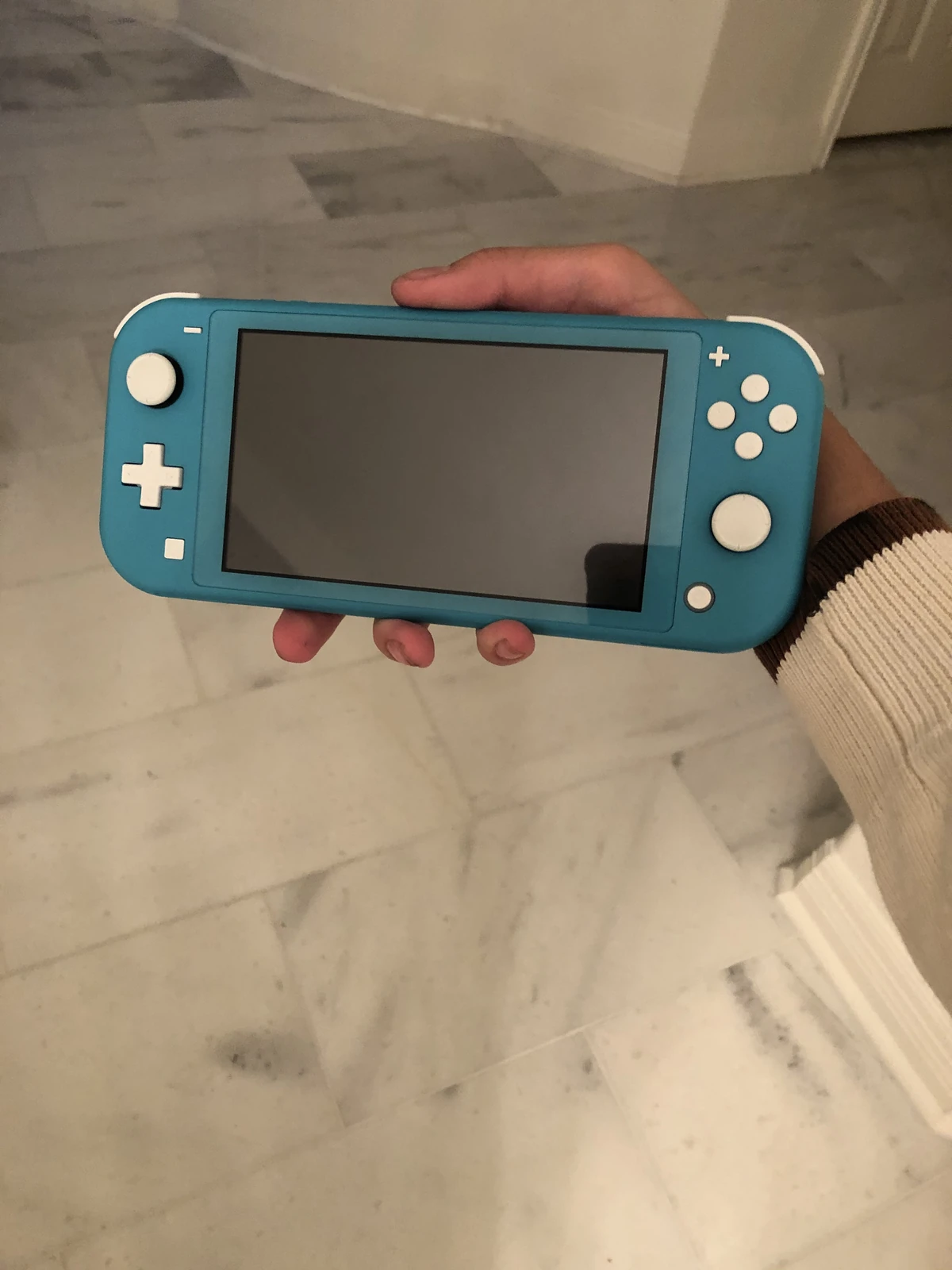 User blog:Predictthefuture/Nintendo Switch Lite Review | Nintendo | Fandom