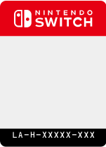 A blank Nintendo Switch game card.