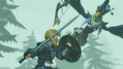 Link and Revali in a duel.