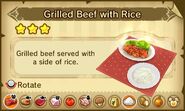 Grilled Beef with Rice