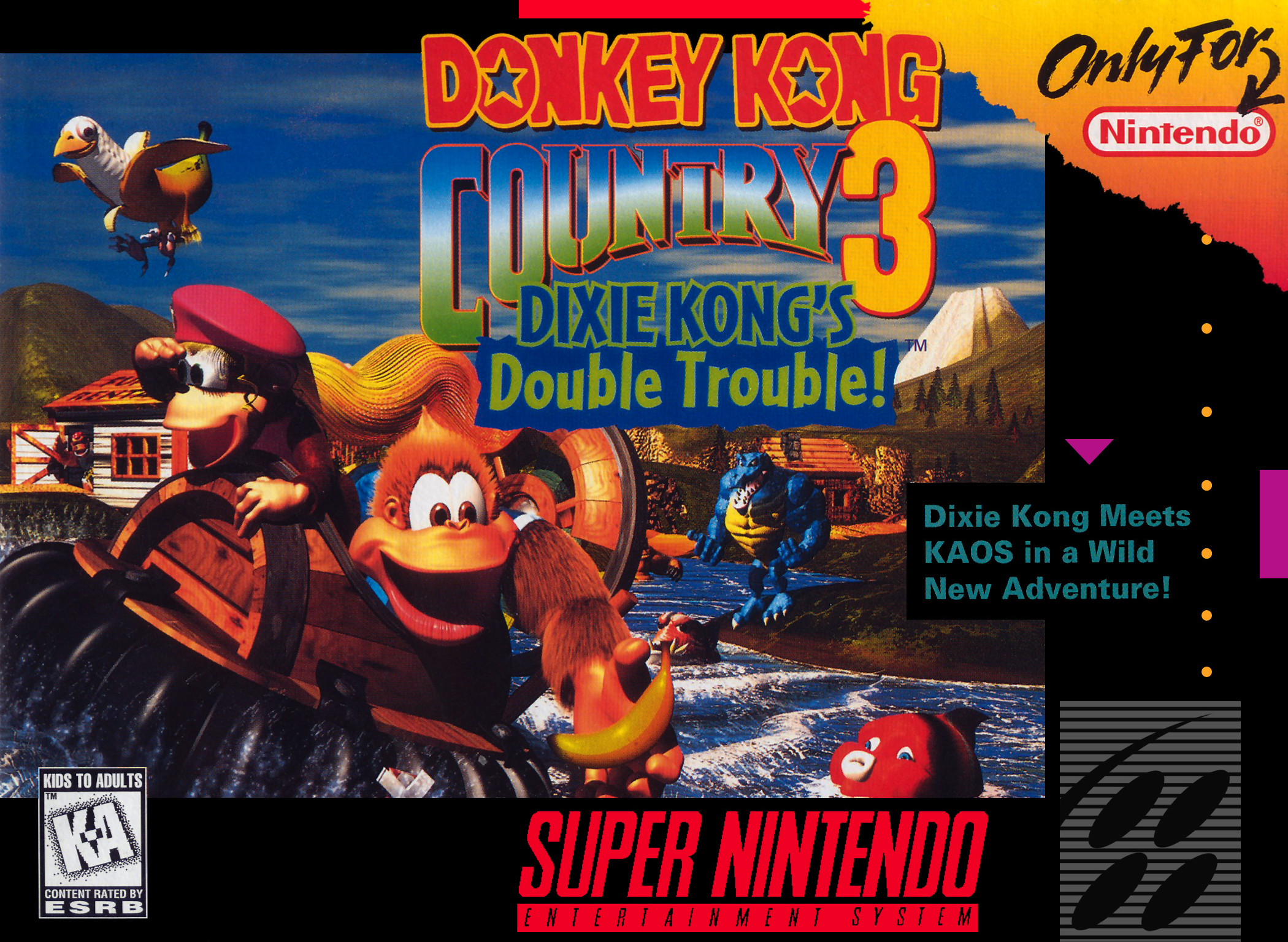 Donkey Kong Country 3 Dixie Kong s Double Trouble Nintendo