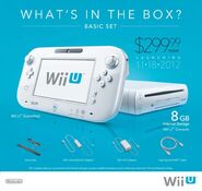 The Wii U Basic Bundle.