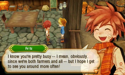Story of seasons 3ds deals