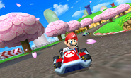 Mario Kart screenshot 7