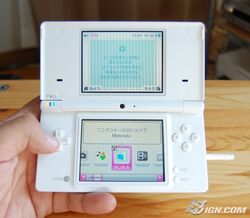 Dsi-hardware-and-firmware-pics-20081031072908394 640w.jpg
