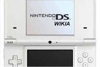 Nintendo DSi, Nintendo DS Wiki