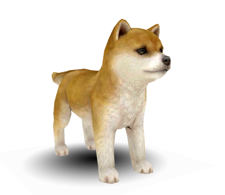 いぬページ Amazon | Mr.Z 1/6 サイズ 柴犬 可愛い 犬 動物 シベリア リアル