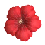 RedHibiscusFlowerIcon3DS