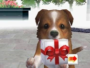 A 3-D version of a Sheltie in a beta version of the game.