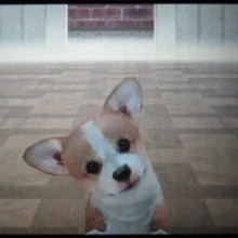 nintendogs corgi