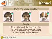 BeagleCoats