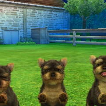 yorkshire terrier nintendogs