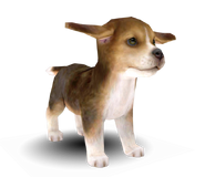 A 3-D model of the beagle found in the game's files.