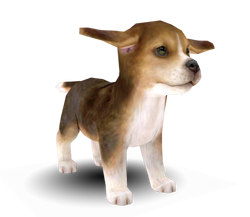 Nintendogs beagle best sale