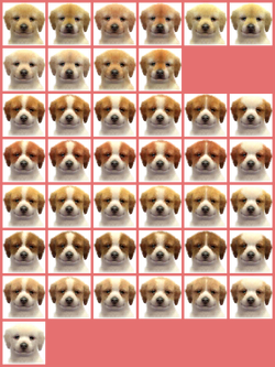 Nintendogs golden retriever and friends cheap