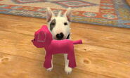 (3DS) A Bull Terrier holding a Stuffed Dog